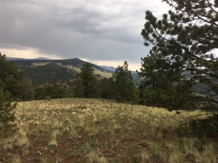 Benefits of Buying Land in Colorado