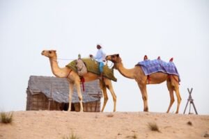 dubai-desert-safari